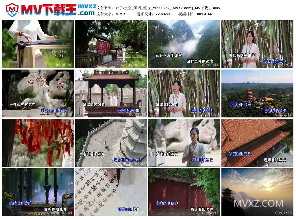 叶子-空空_国语_流行_YF900252